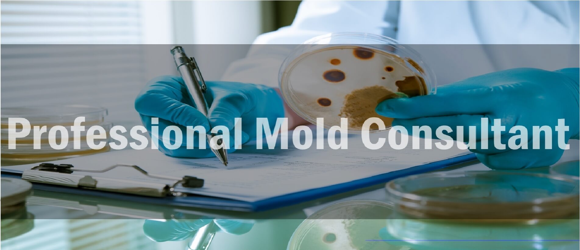 PROFESSIONAL MOLD.jpg