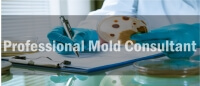 PROFESSIONAL MOLD.jpg